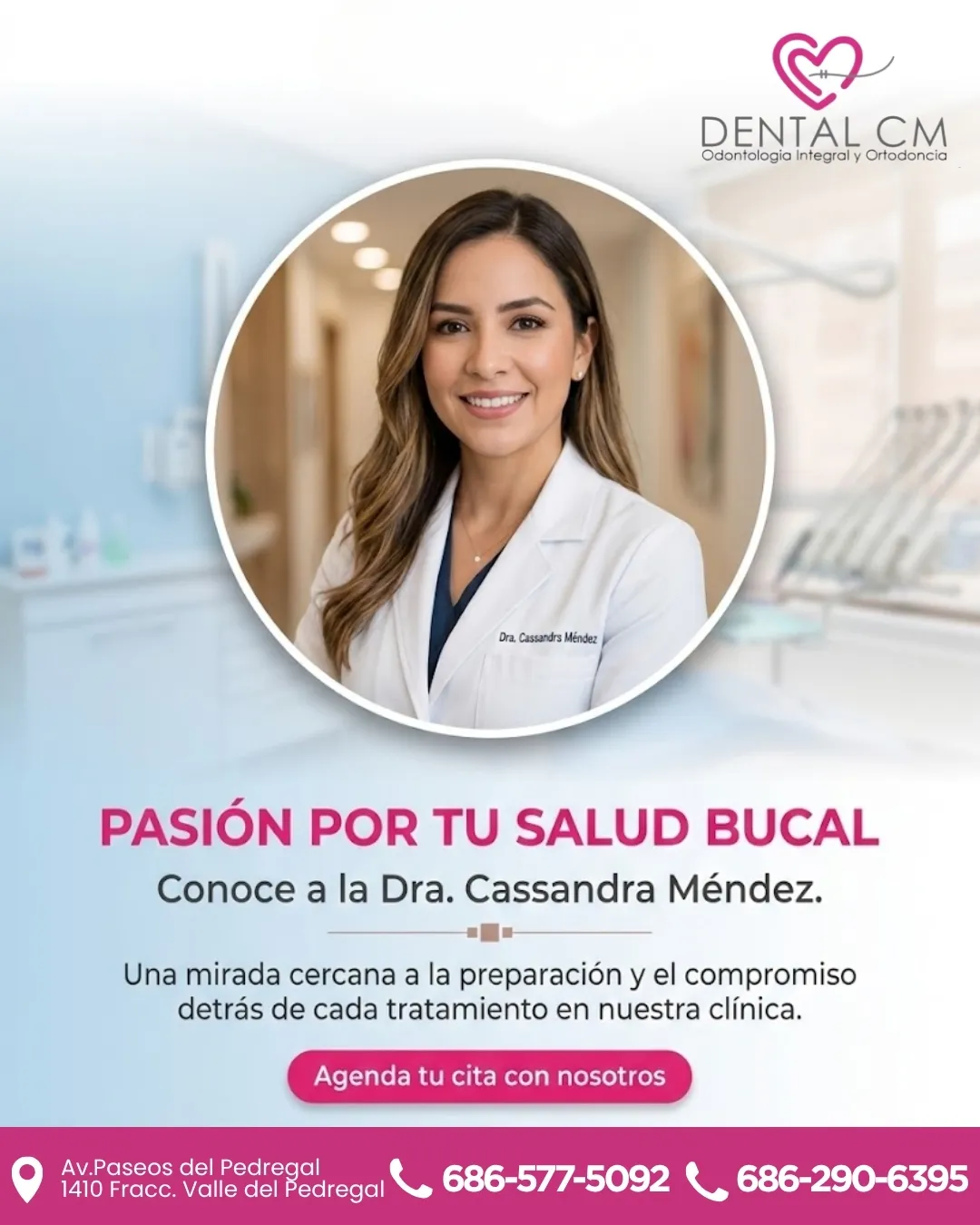 Diseño 61