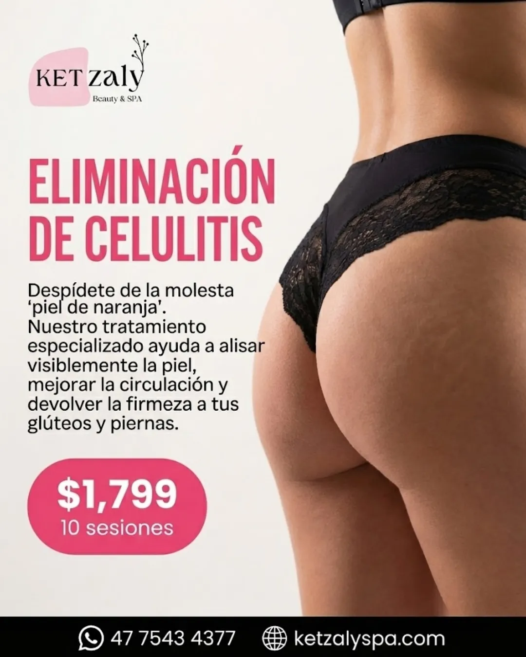 Diseño 53