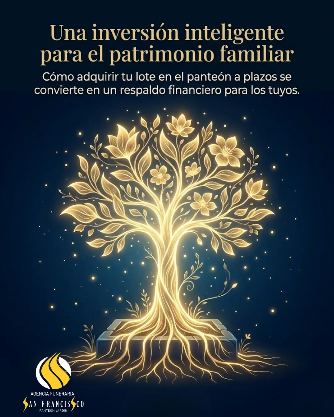 Diseño 66