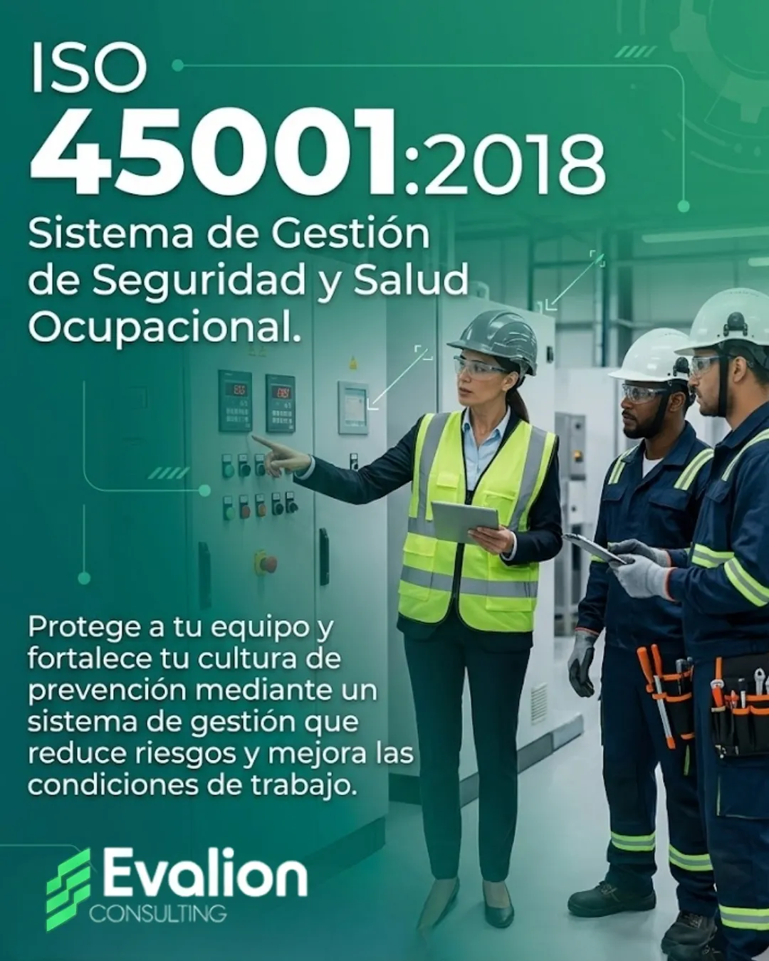 Diseño 50
