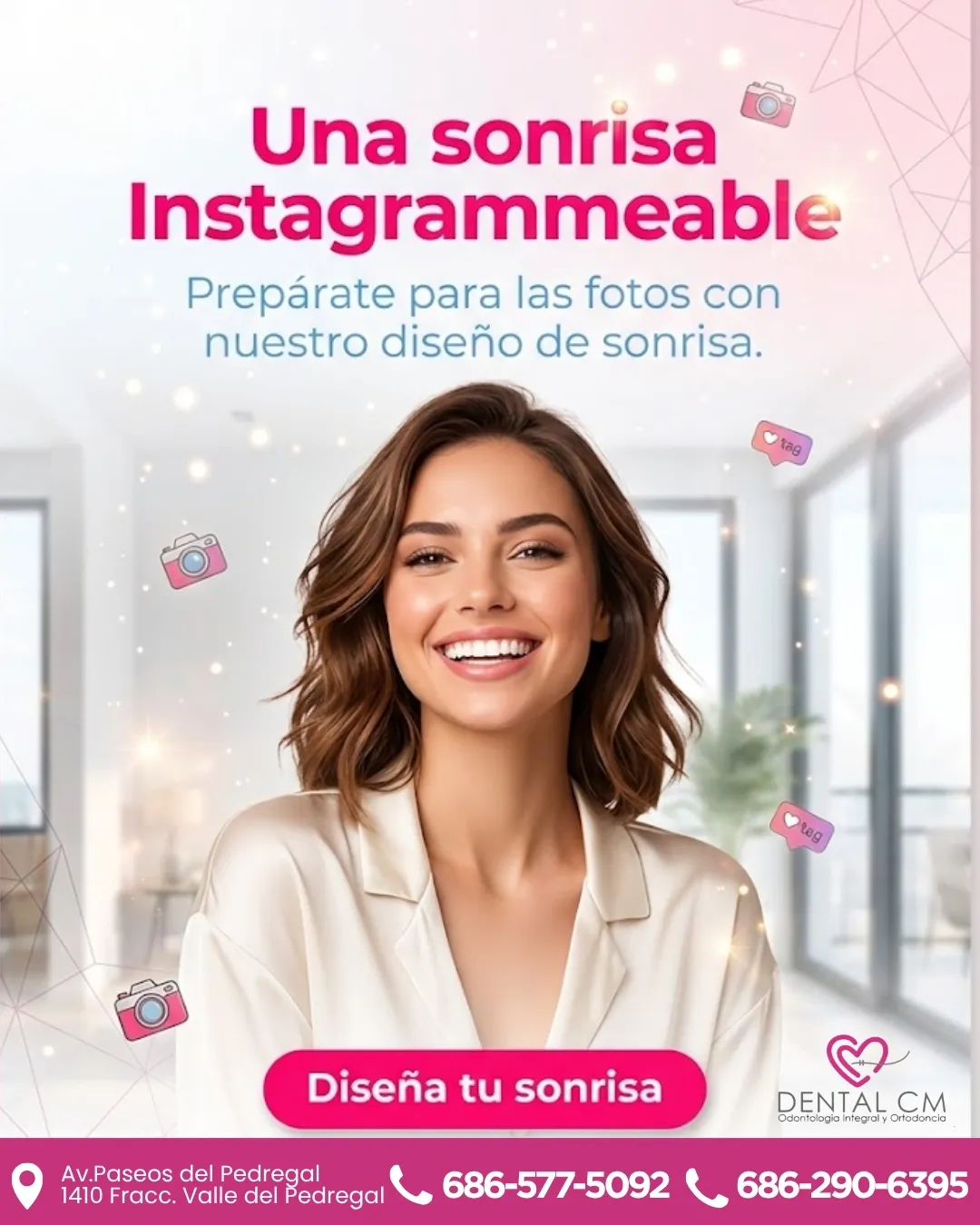 Diseño 113