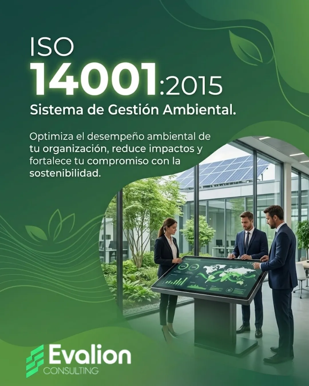 Diseño 49