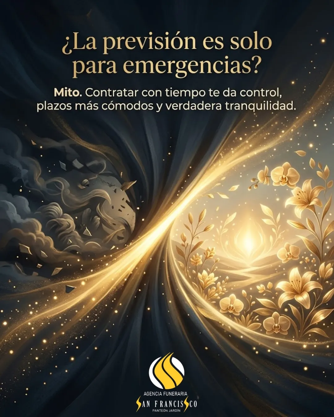 Diseño 79