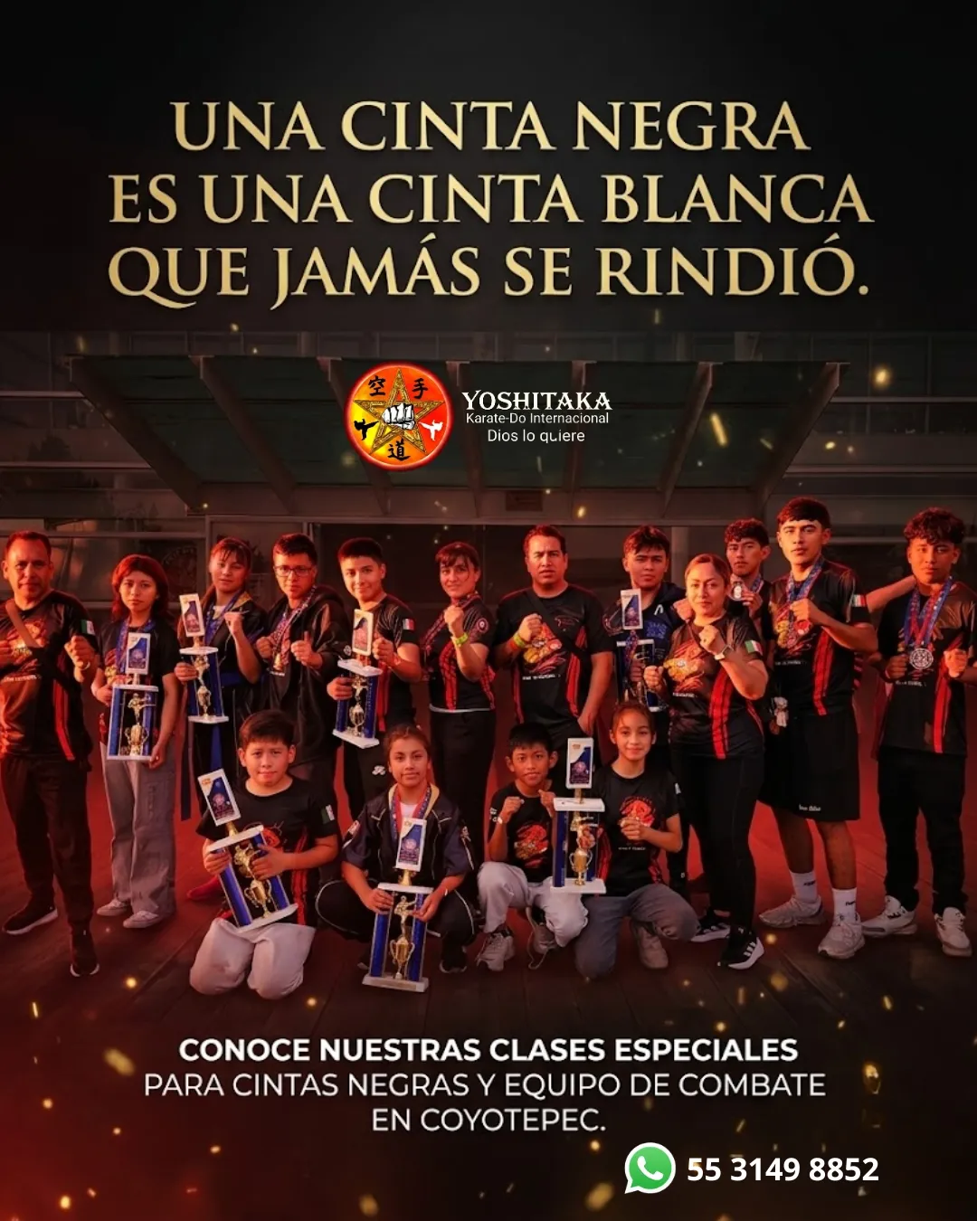 Diseño 10