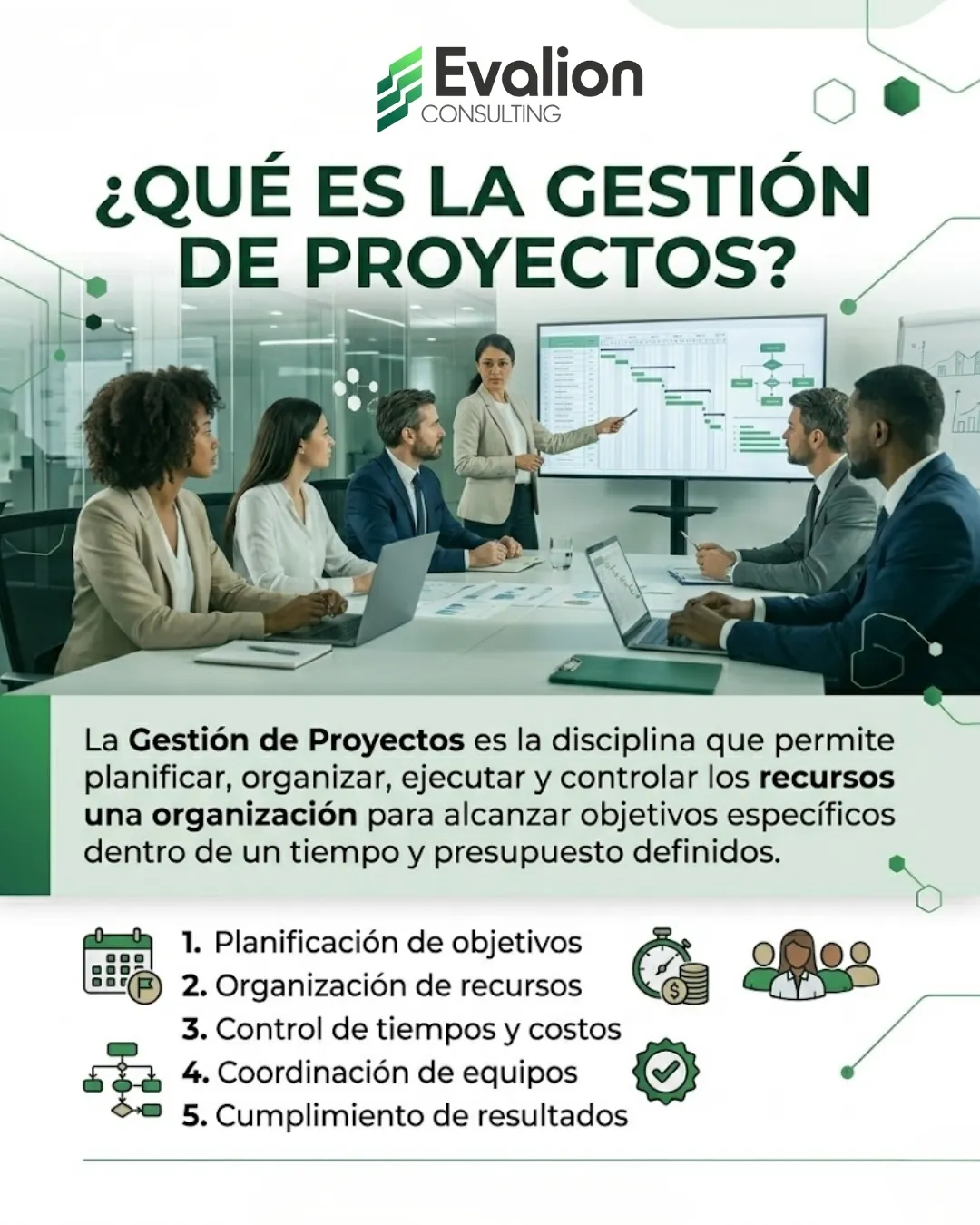 Diseño 59