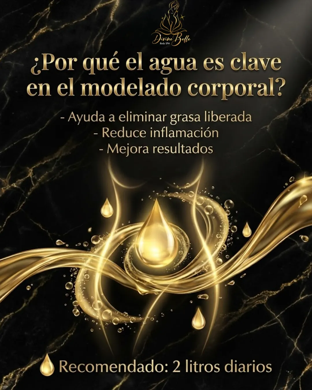 Diseño 16