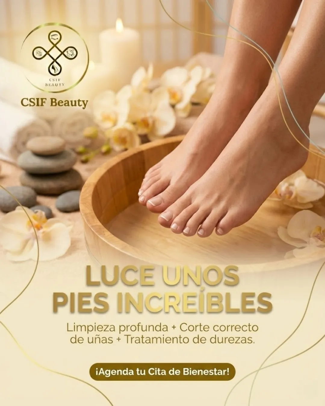 Diseño 21