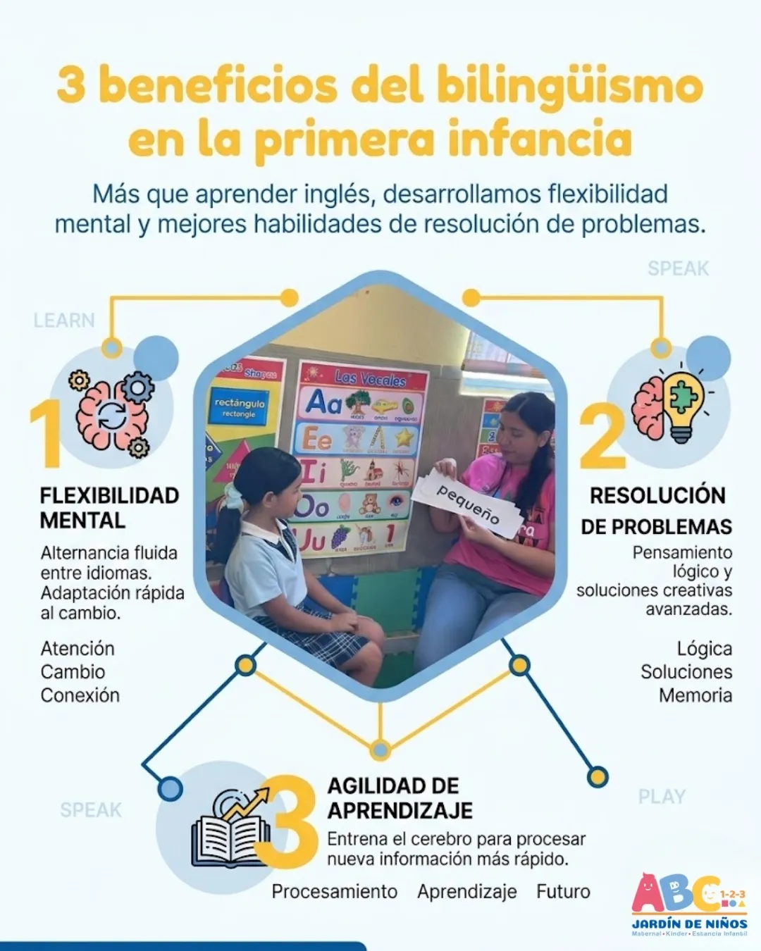 Diseño 14