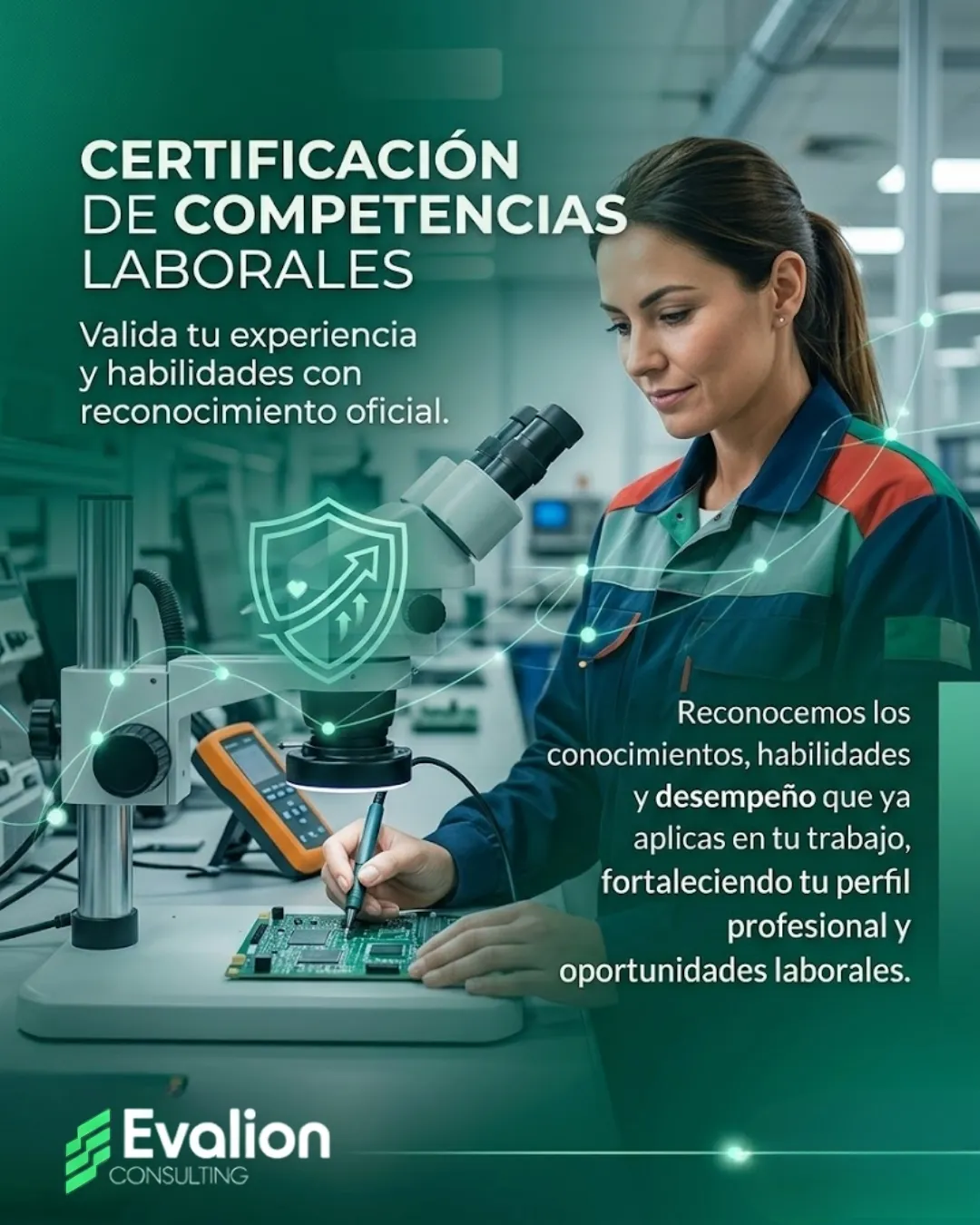 Diseño 55