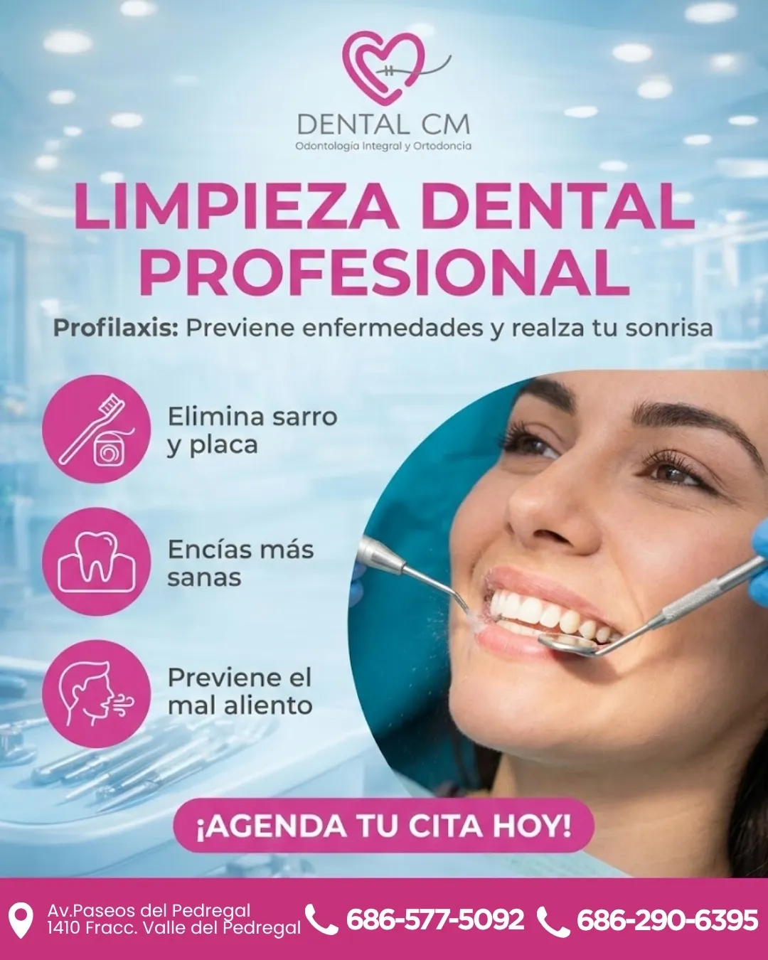 Diseño 29