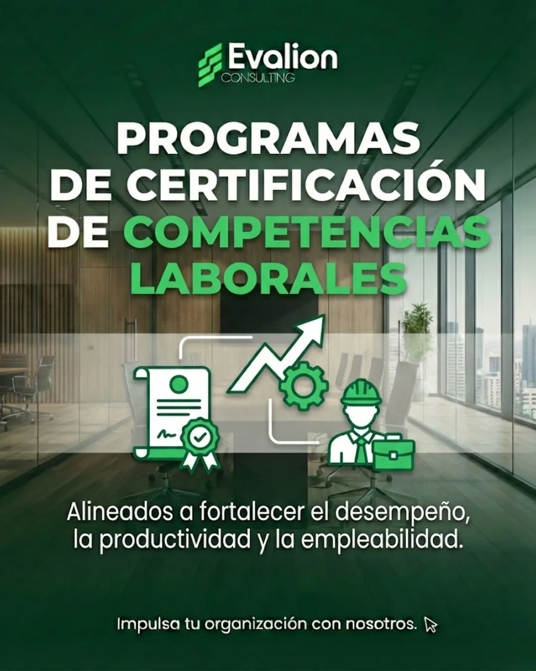 Diseño 9