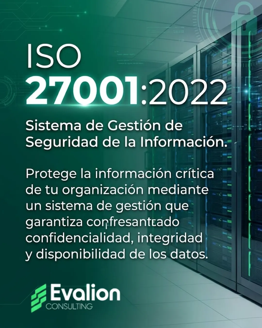 Diseño 51