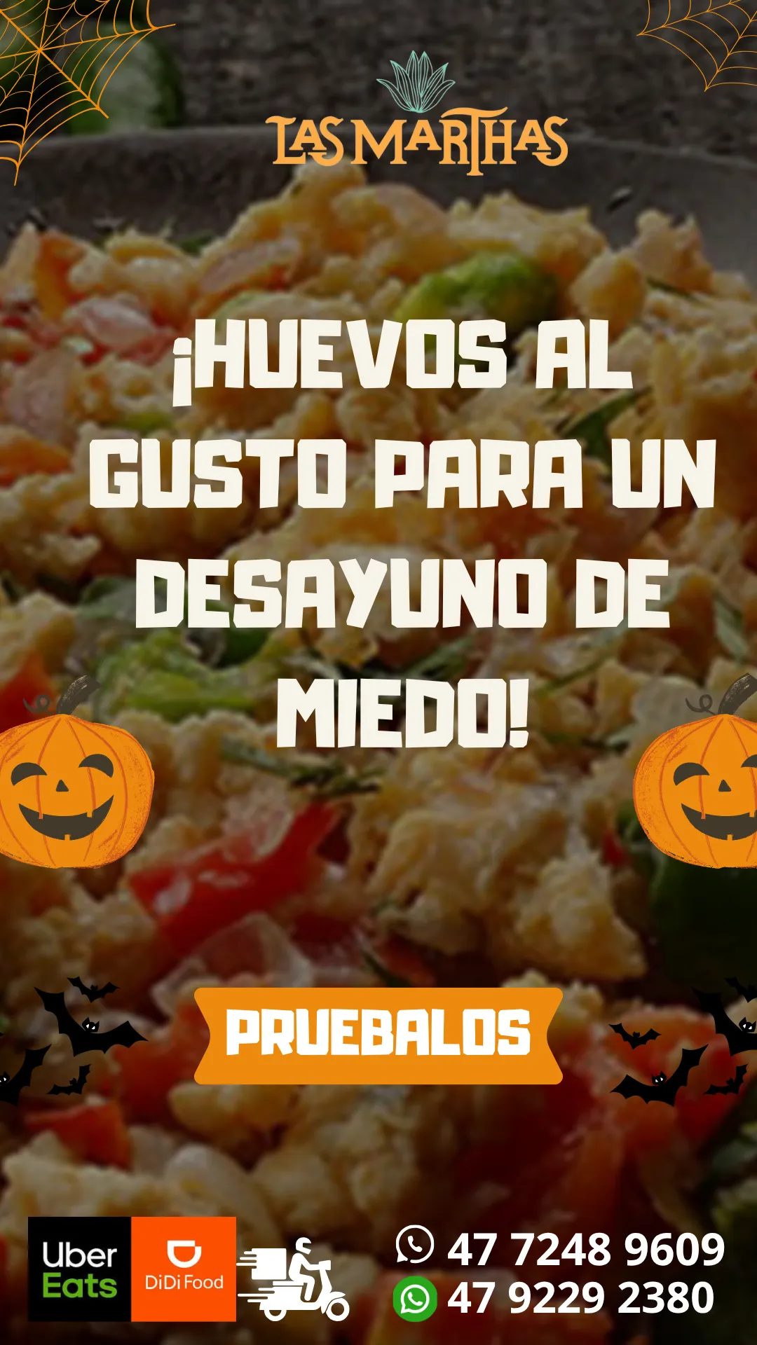 Diseño 17