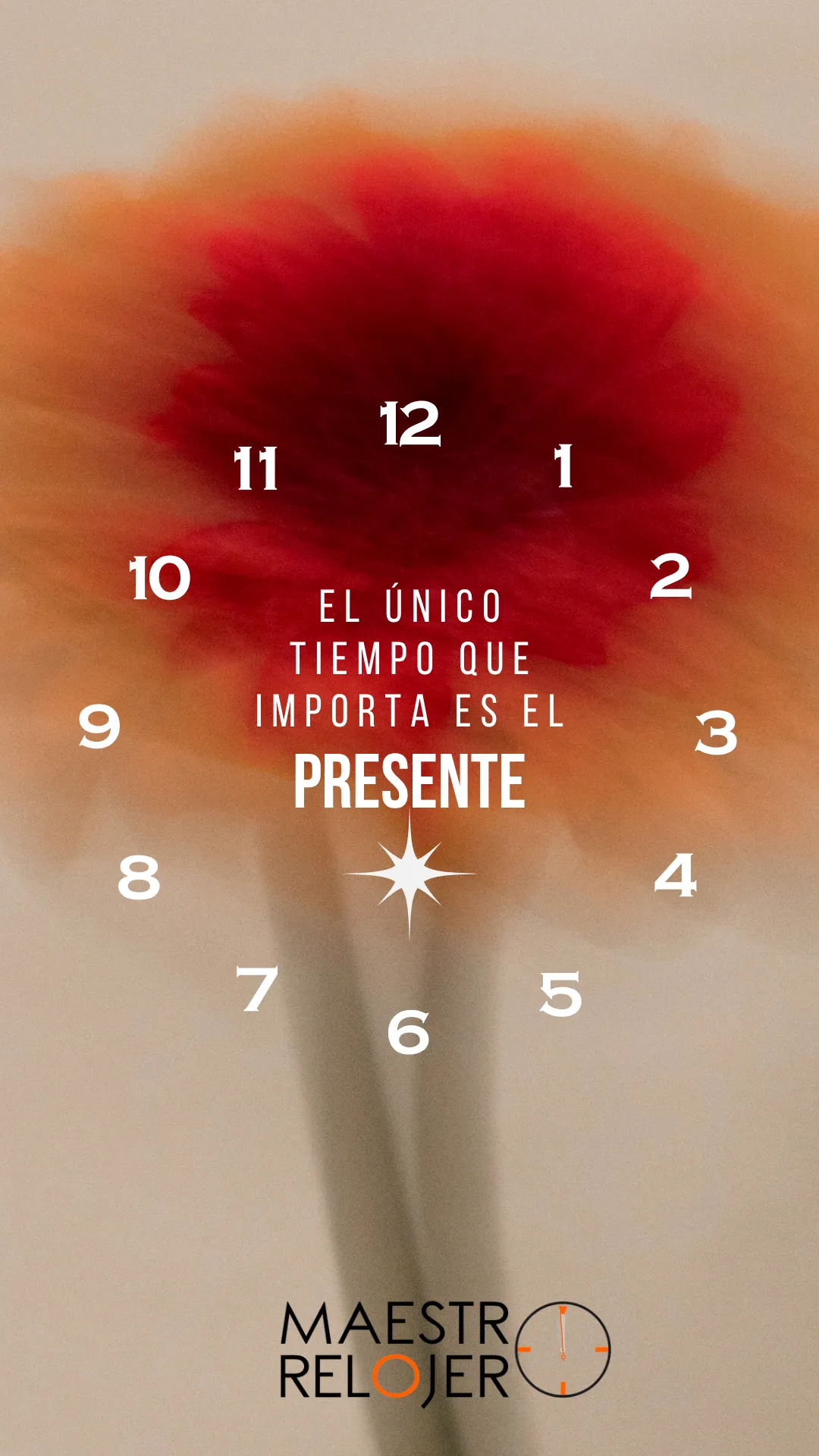 Diseño 42