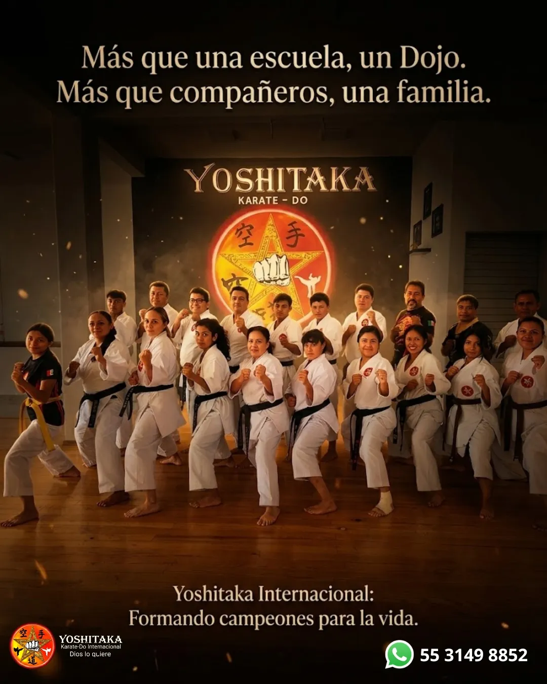 Diseño 14