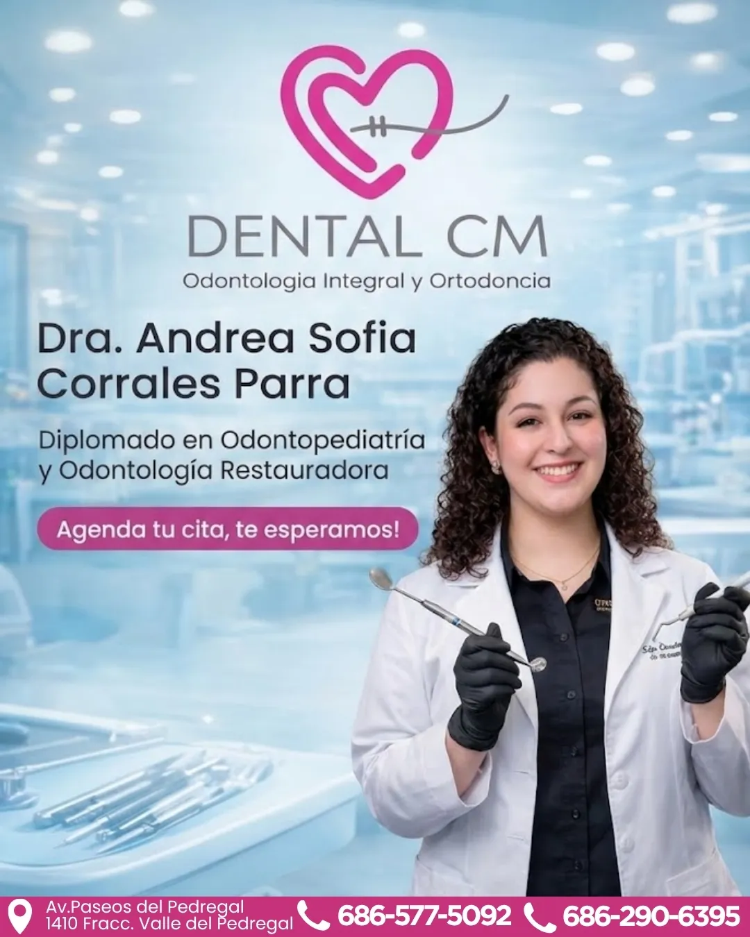 Diseño 27