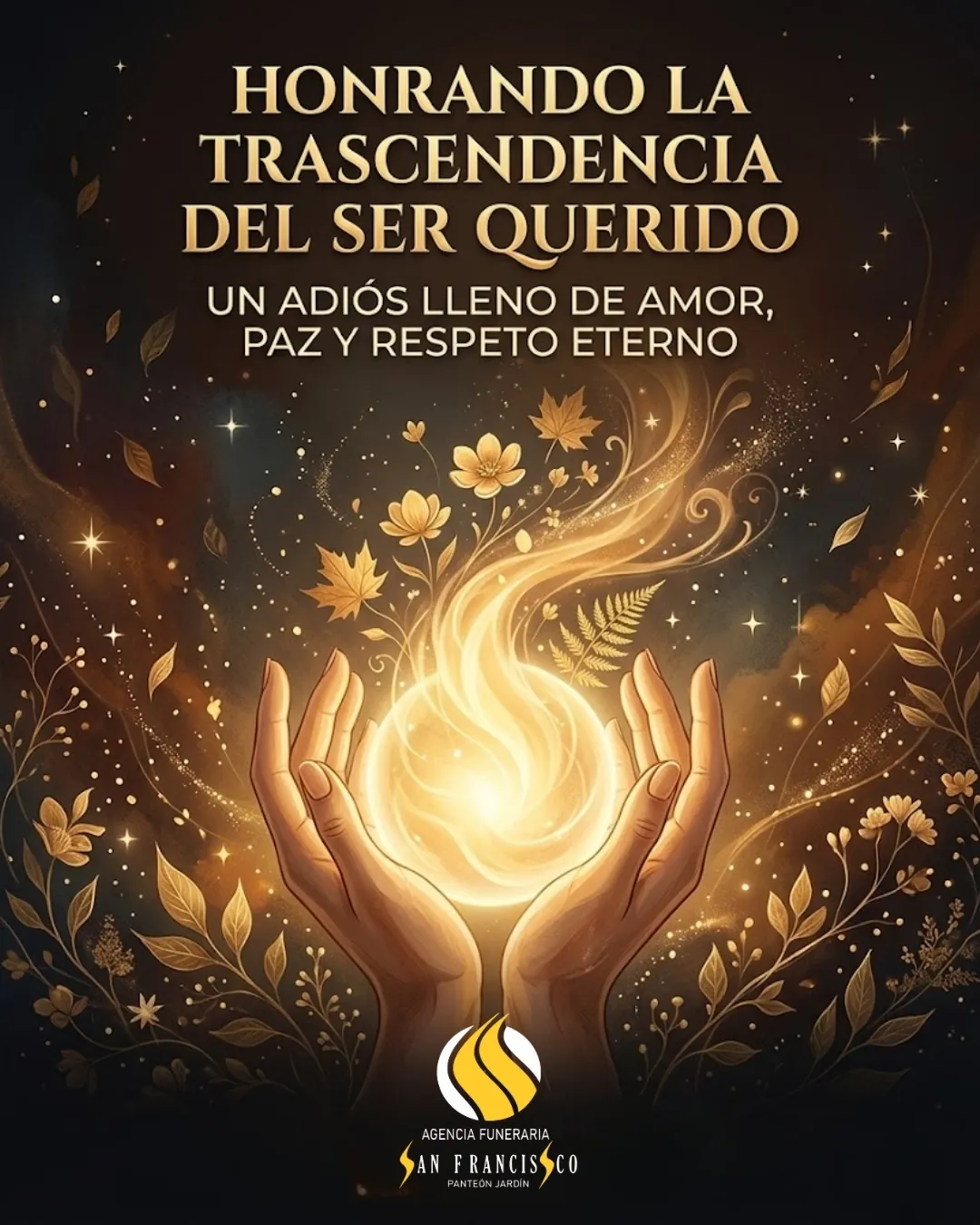 Diseño 61