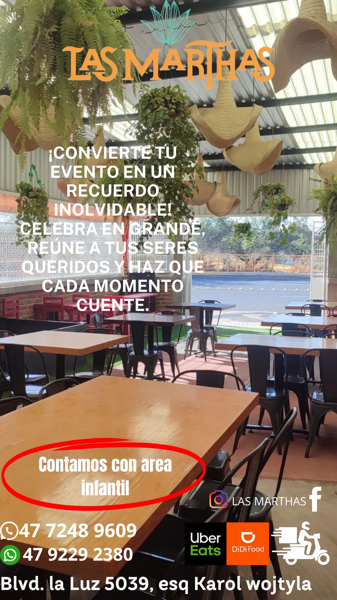 Diseño 61