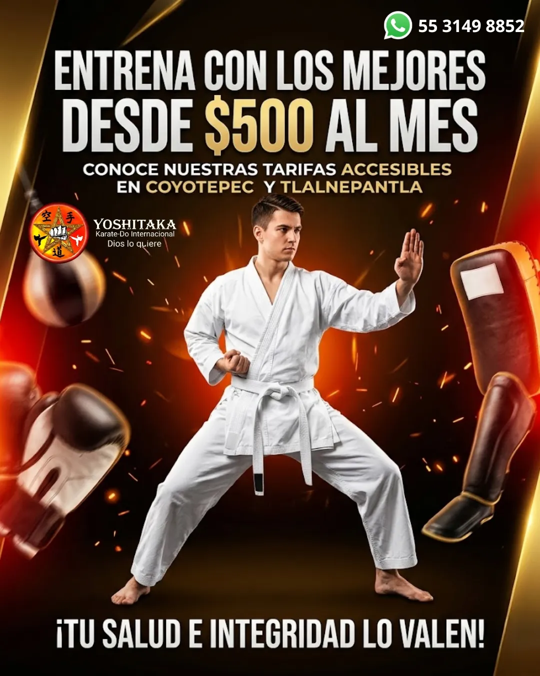 Diseño 21