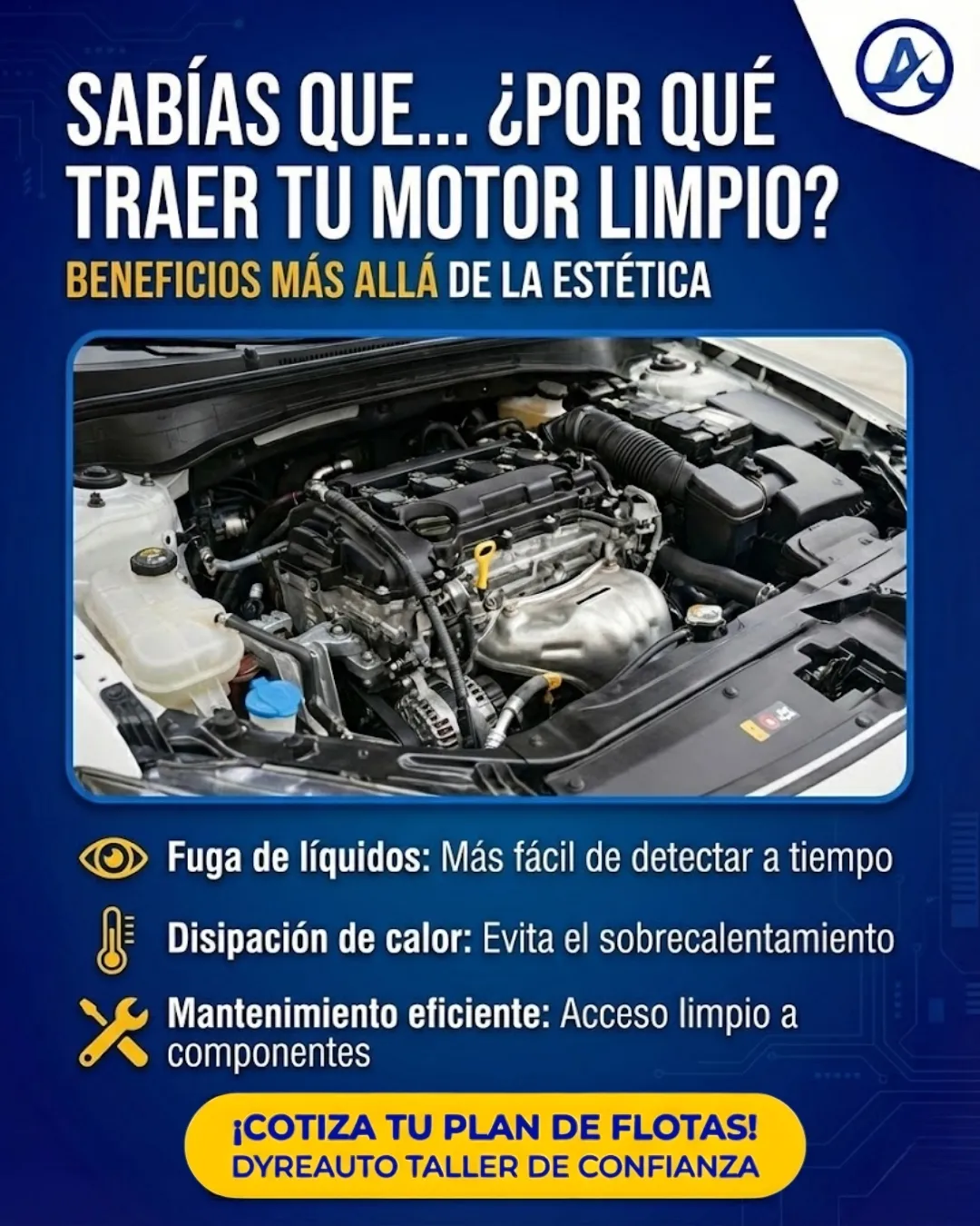 Diseño 11