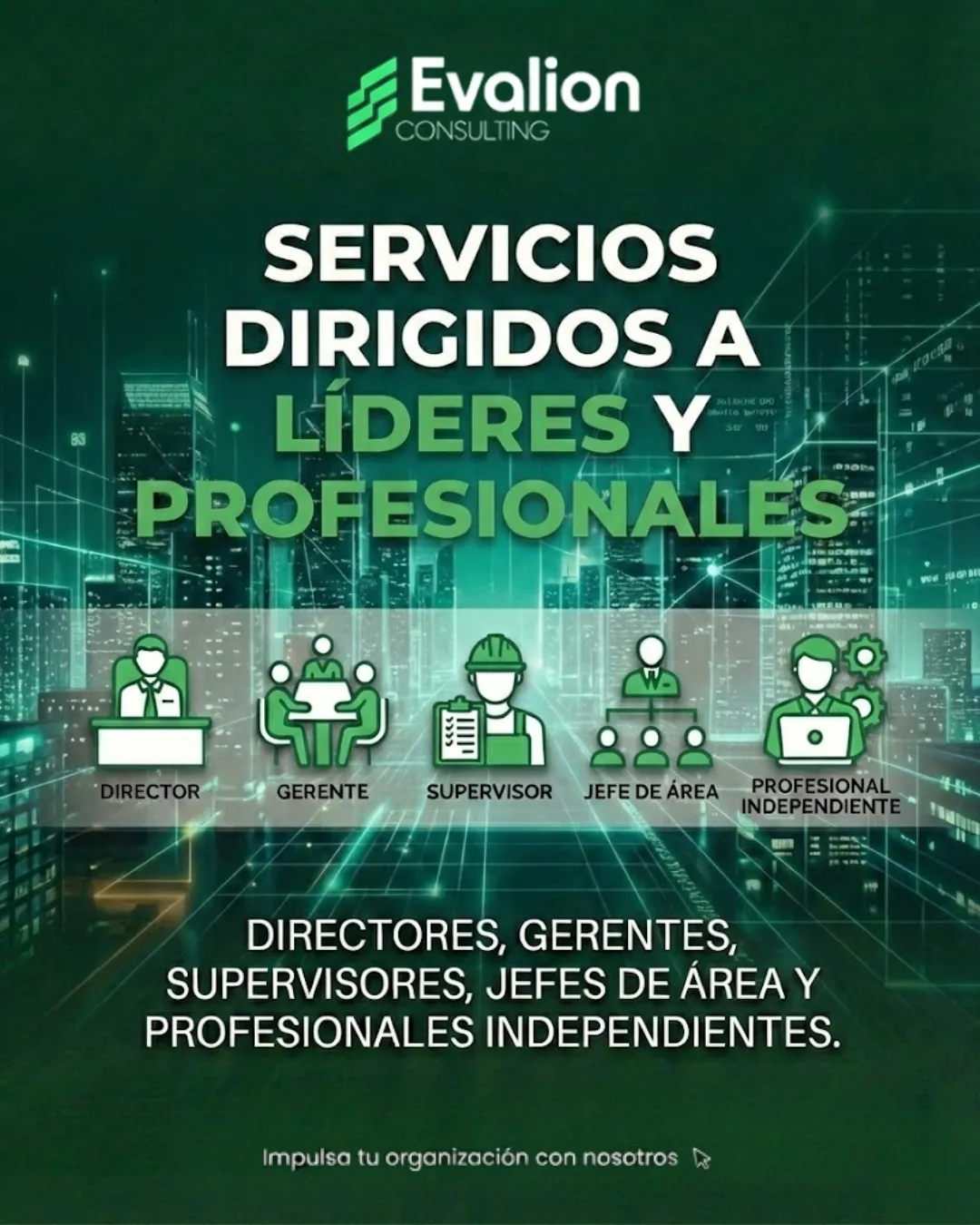 Diseño 11