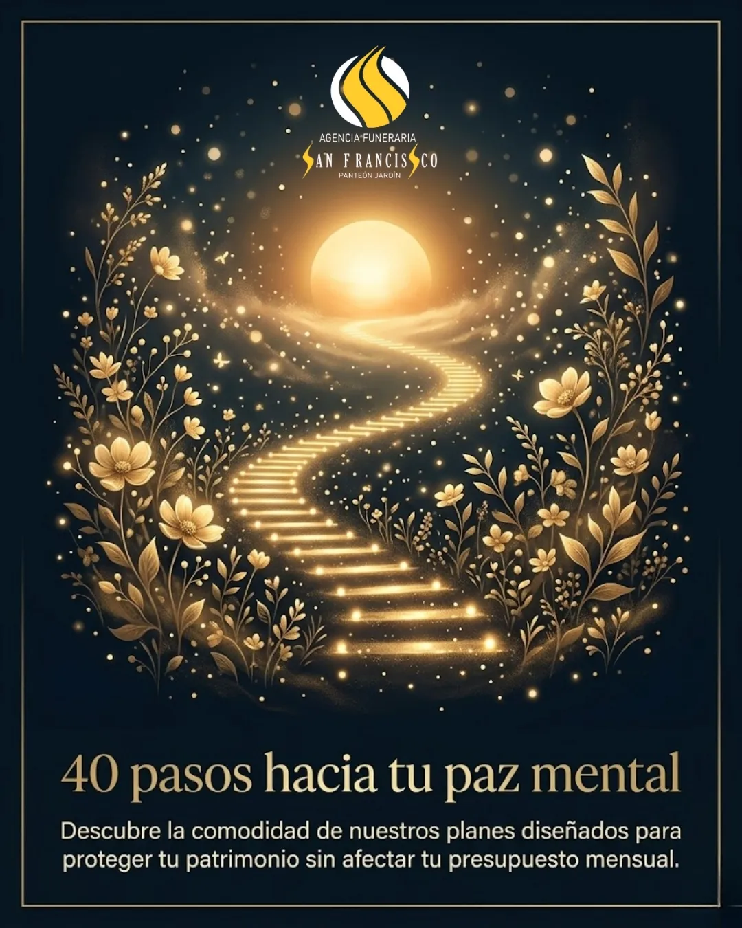 Diseño 62