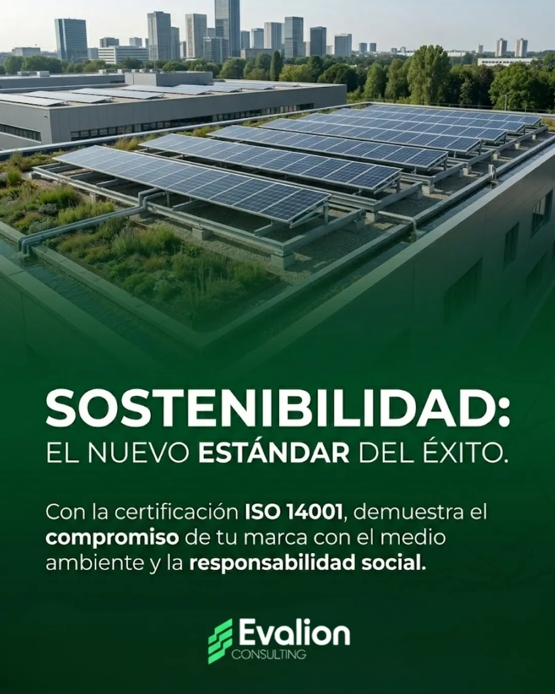 Diseño 34