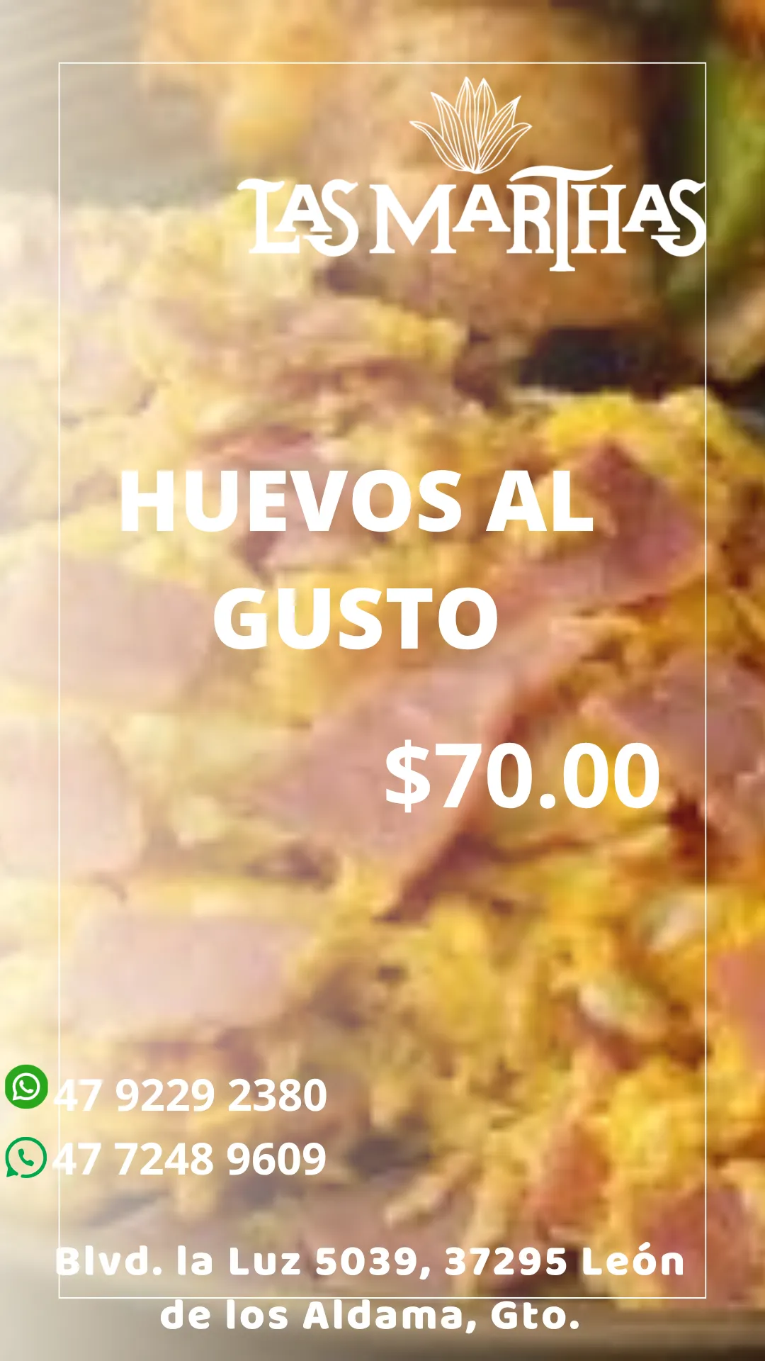 Diseño 99