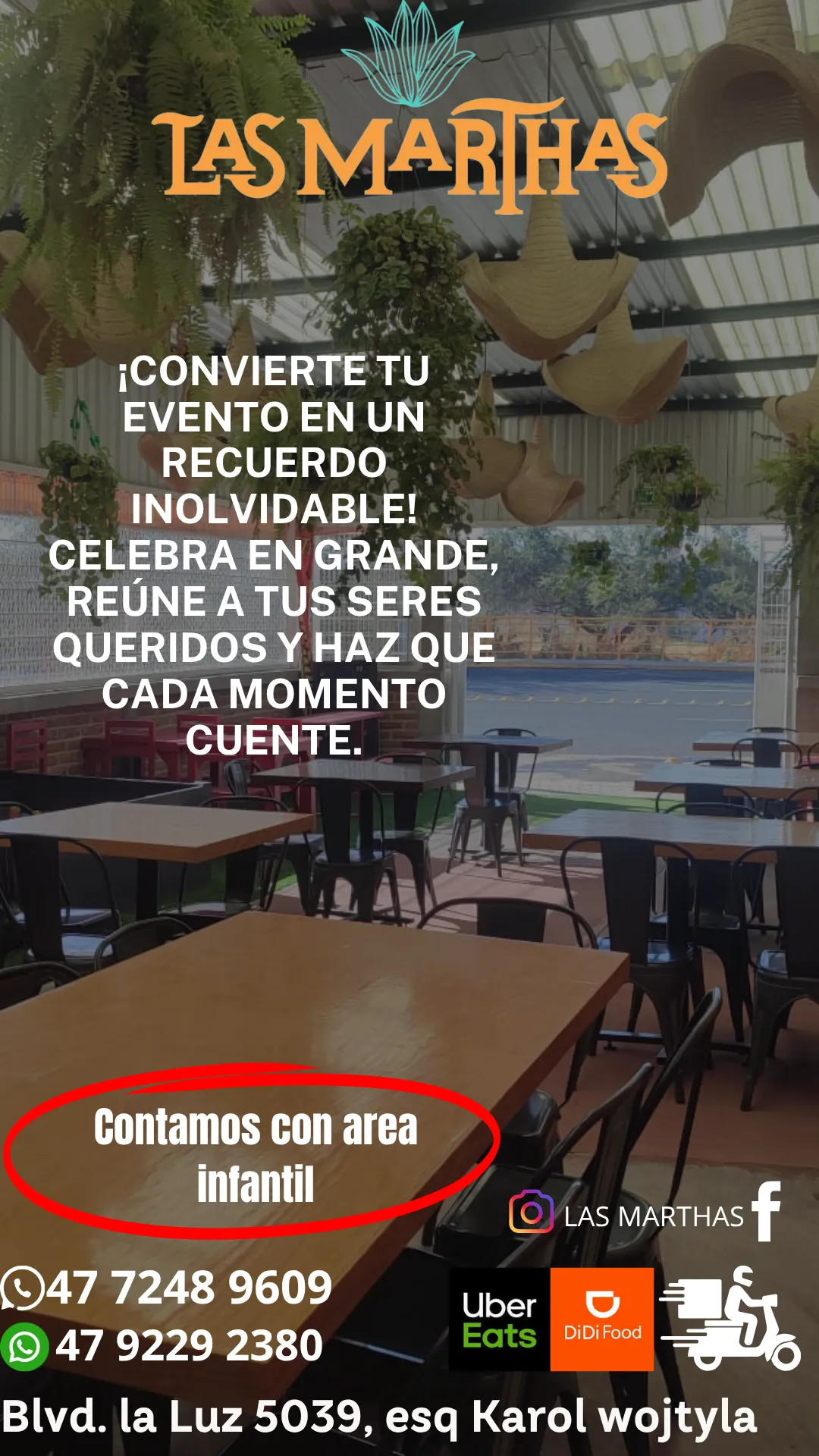 Diseño 87