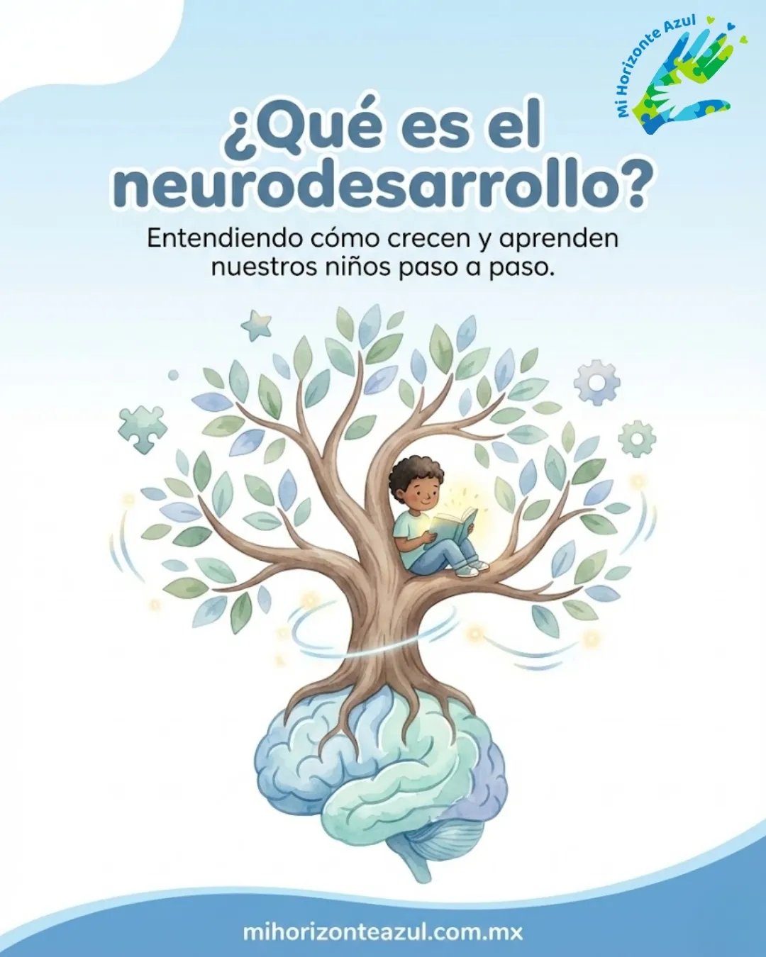Diseño 47