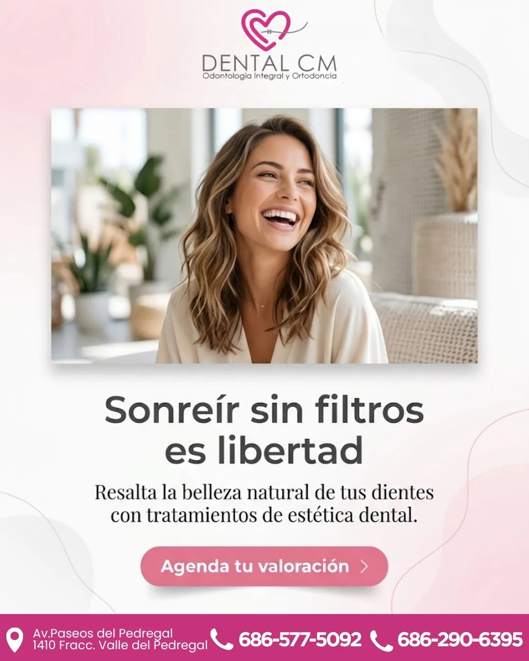 Diseño 146