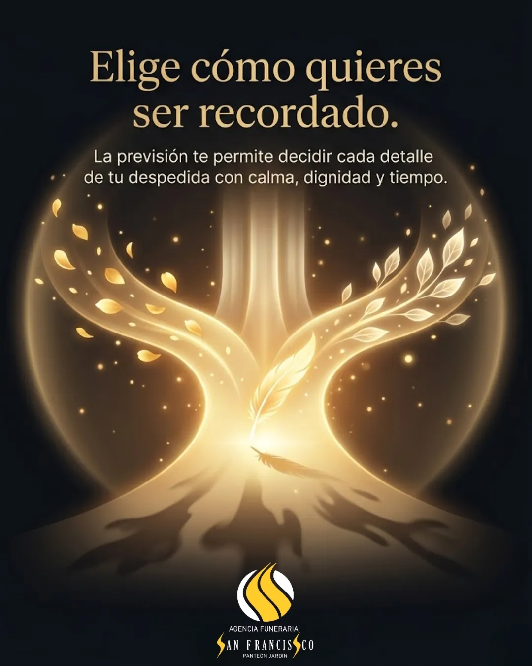 Diseño 78