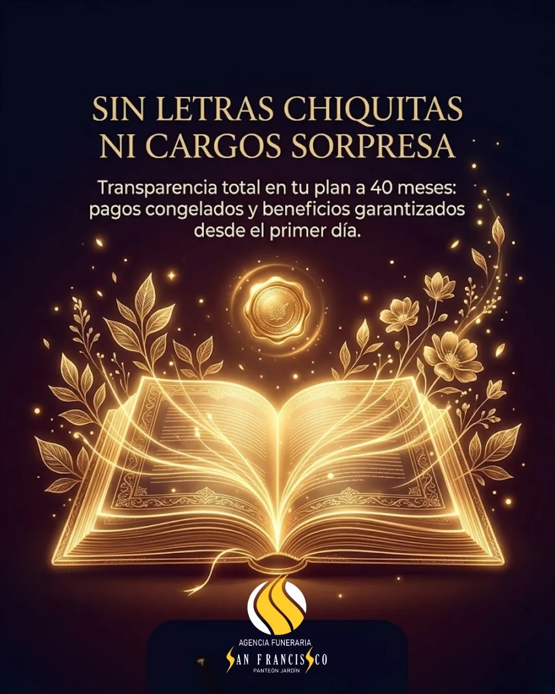 Diseño 65