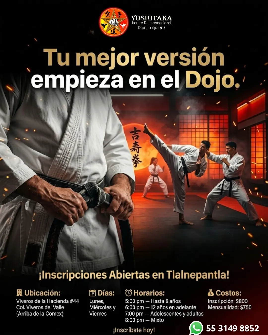 Diseño 6